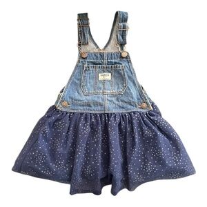 Osh Kosh B'Gosh Tutu Glitter Polka Dot Classic Overalls
Size: 4T